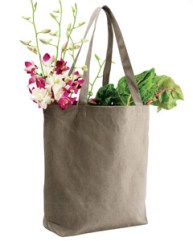 eco bag